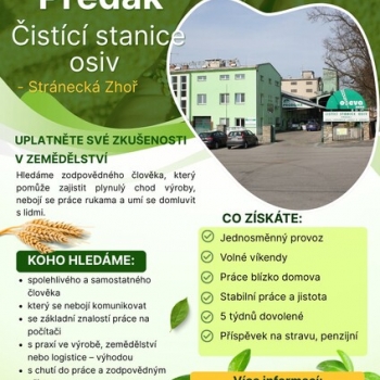 Nabídka zaměstnání 